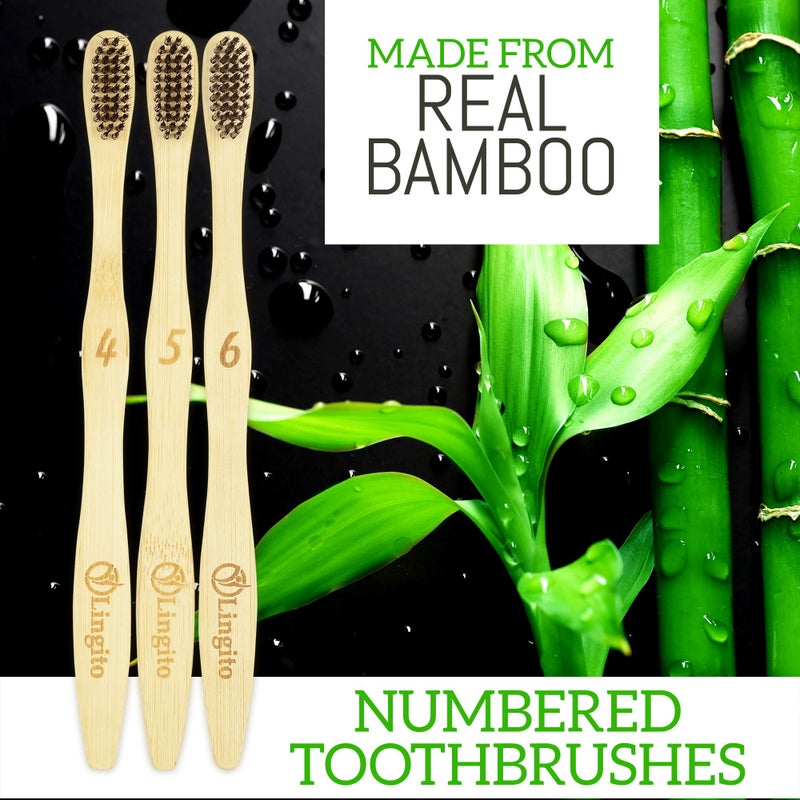 Lingito 6-Pack Natural Charcoal Bamboo Toothbrushes | BPA Free Soft Bristles | Compostable, Eco Friendly, Natural, Organic & Vegan Toothbrush Pack | Individually Packaged & Numbered Active Brushes - Image 2